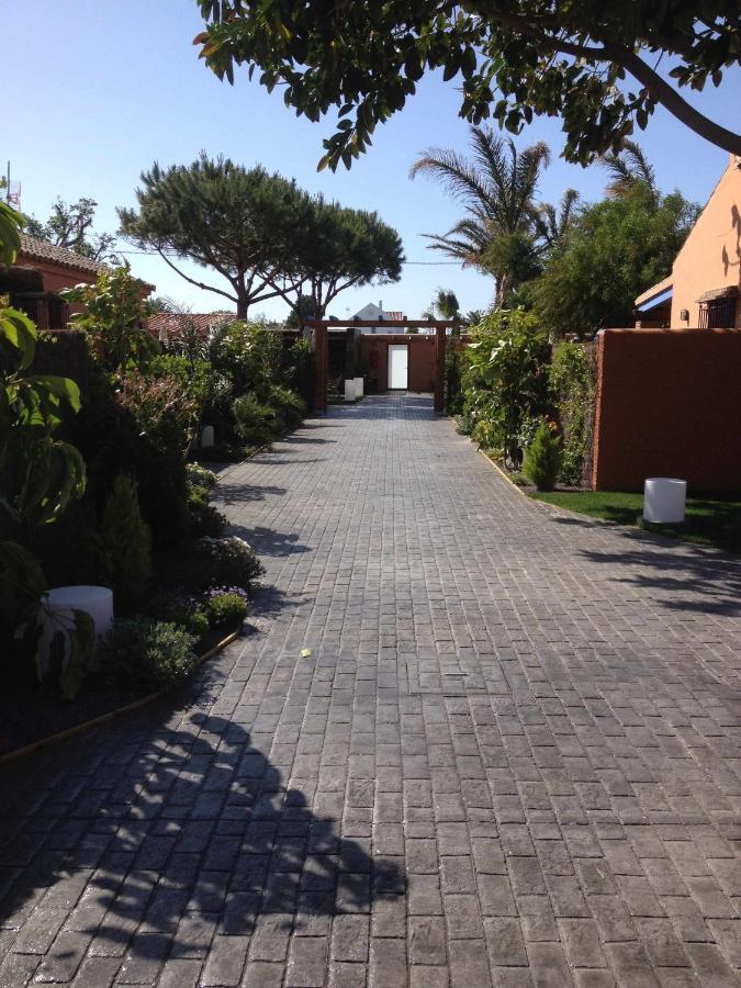 Estudio Con Jardincito Privado Barbacoa Y Piscina Cádiz Exteriér fotografie